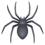 Spider :spider: 🕷️