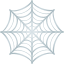 Spider web :spider_web: 🕸️