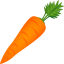 Carrot :carrot: 🥕