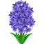 Hyacinth :hyacinth: 🪻